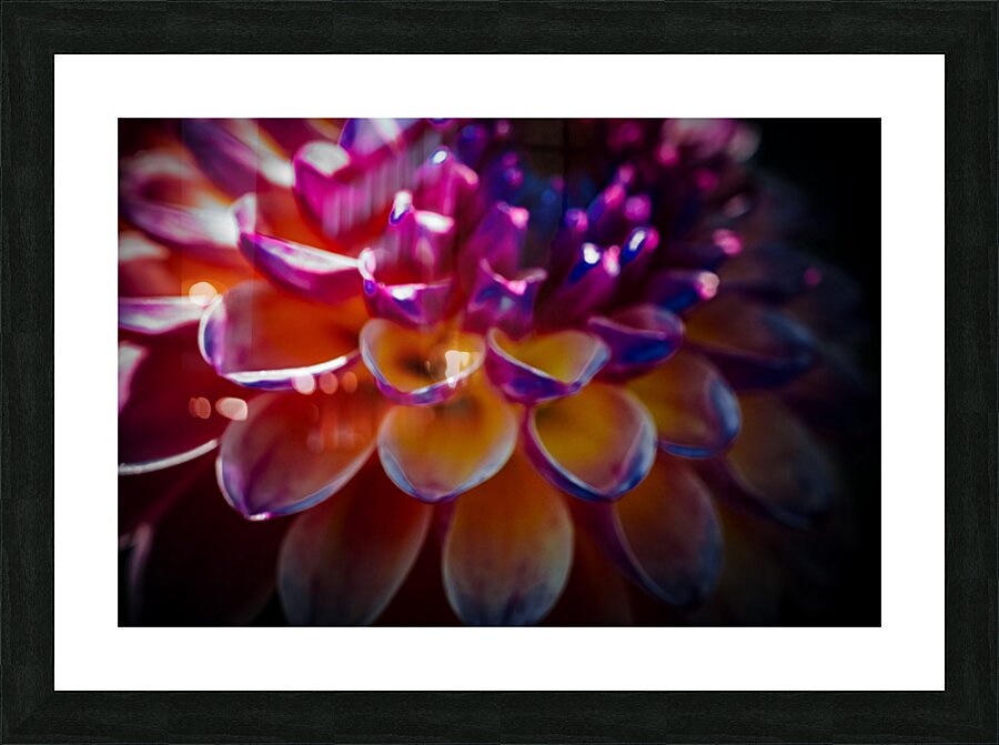 BAM  Picture Frame print
