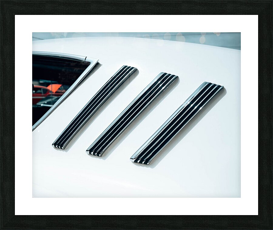 Chrome Fins Picture Frame print