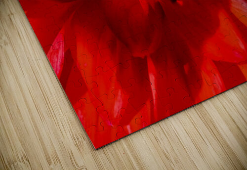 Red Fire Constance Ross Photography puzzle