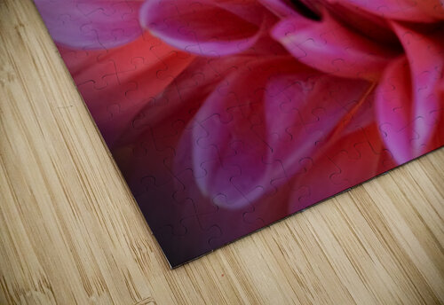 PInk Summer Show Constance Ross Photography puzzle