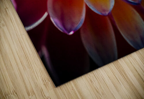 BAM  Constance Ross Photography puzzle