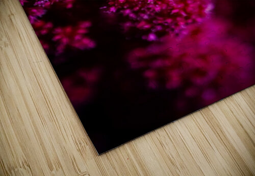 Pink Flow Constance Ross Photography puzzle