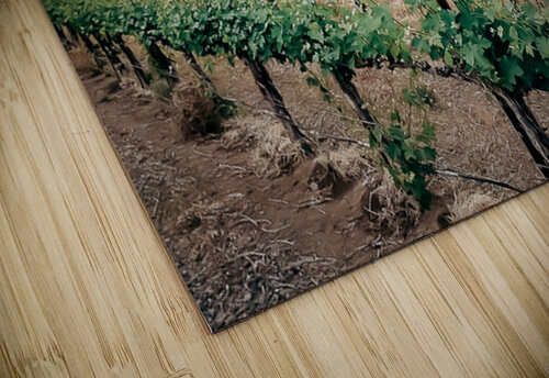 PNW Winery Constance Ross Photography puzzle