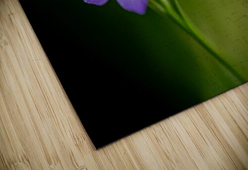 Macro Purple Flowers Constance Ross Photography puzzle