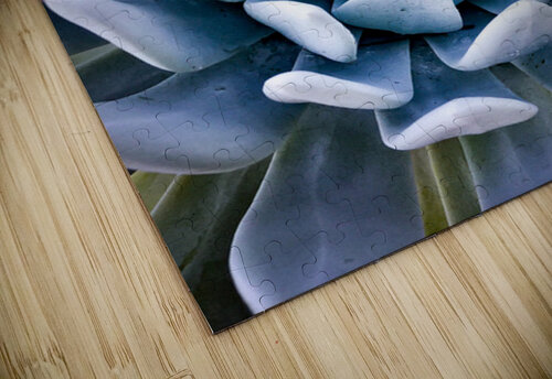 Succulent Constance Ross Photography puzzle