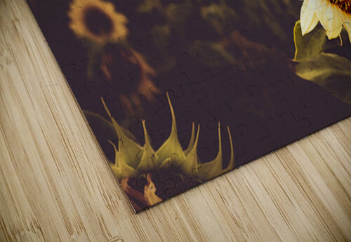 Sunflower Farm Constance Ross Photography puzzle