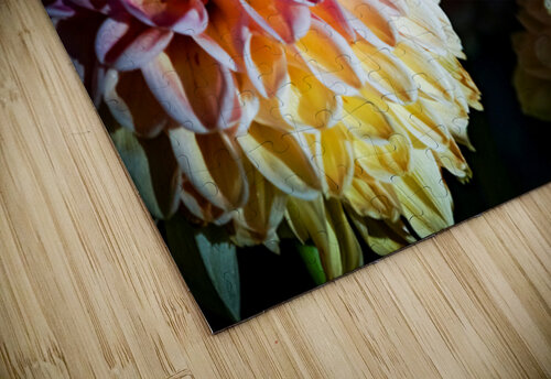 Capow  Constance Ross Photography puzzle
