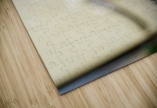 See the Ford Constance Ross Photography puzzle