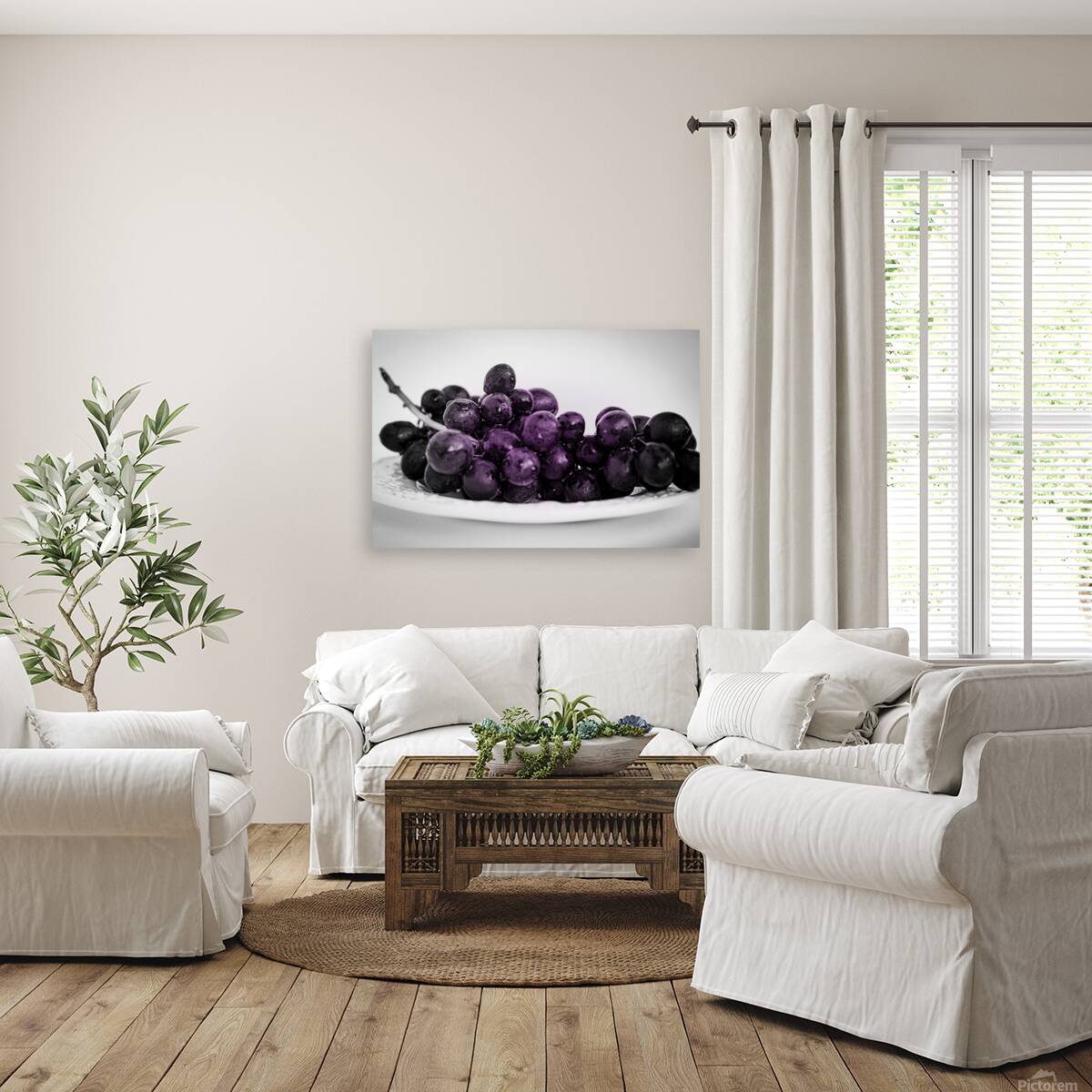 Concord Grapes Reproduction