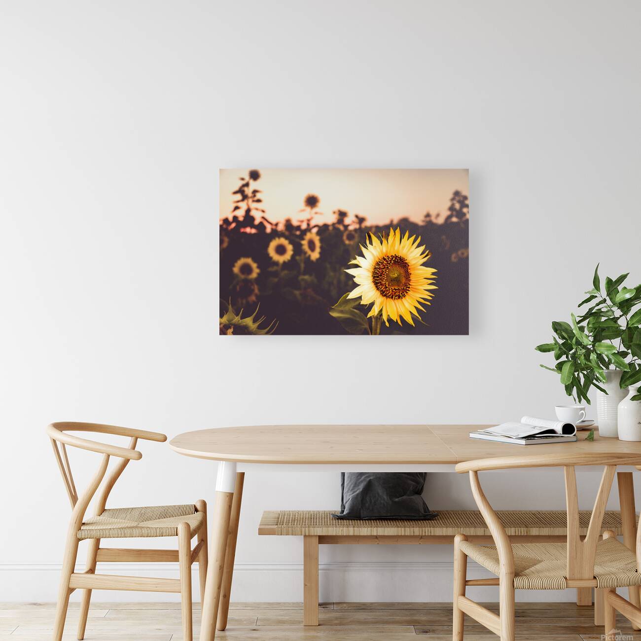 Sunflower Farm Reproduction