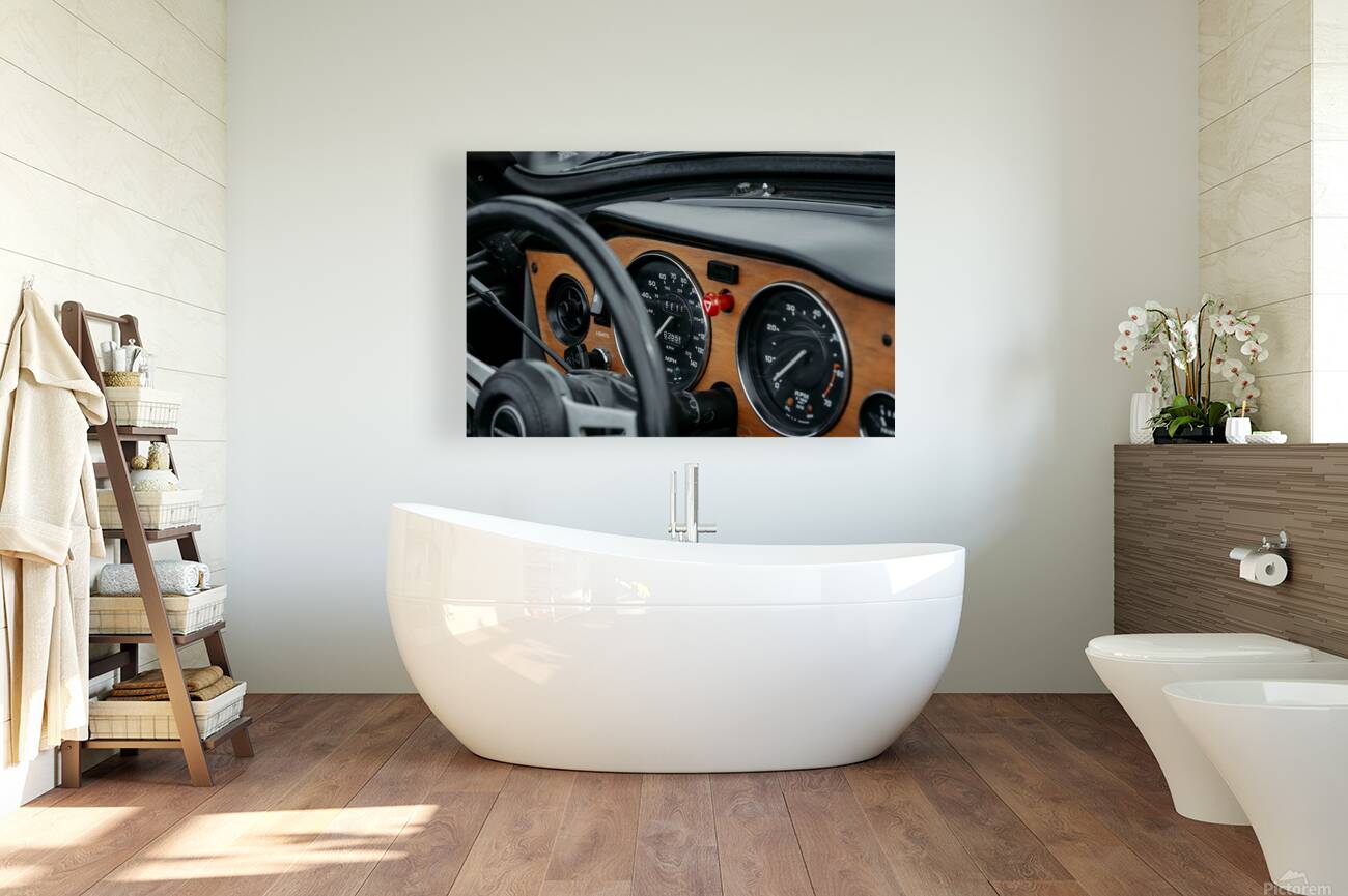 Triumph dash Reproduction