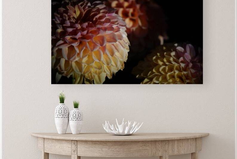 Rainbow Petals  Reproduction