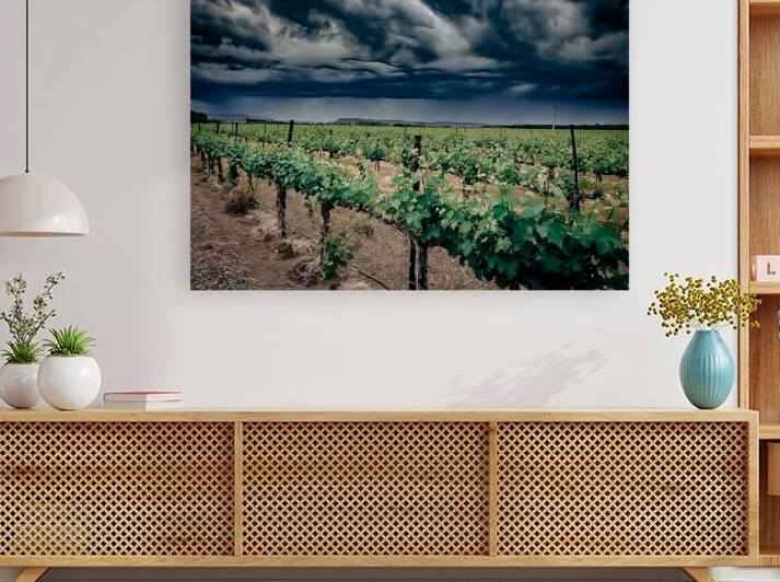 PNW Winery by Constance Ross Photography