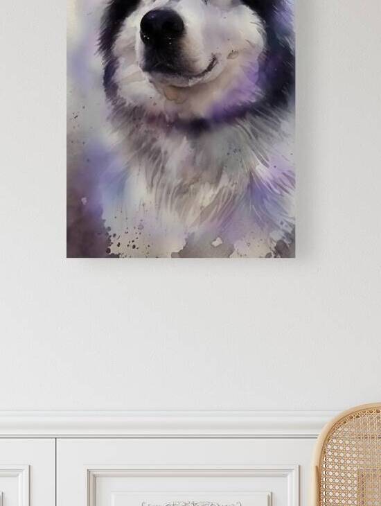 Alaskan Malamute  by Constance Ross Photography