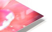 PInk Summer Show HD Metal print