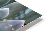 Succulent Impression metal HD