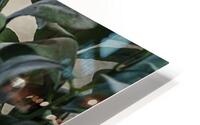 Cabin Details HD Metal print