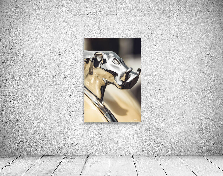 Hood Jewelry Wall Preview