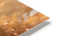 NFT HD Metal print