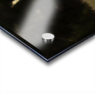 JBS 0918 Acrylic print