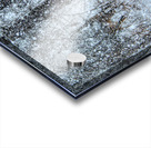 JBS 0383  Acrylic print