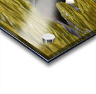 JBS 2224 Impression Acrylique