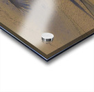 DSC 5806  Impression Acrylique