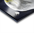 JBS 1282  Acrylic print