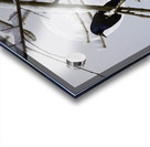 JBS 0164  Impression Acrylique