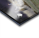 JBS 0650 Acrylic print