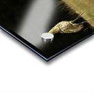 JBS 0909 Impression Acrylique