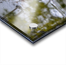  JBS5840 1 Impression Acrylique