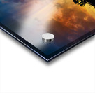 ZJS 6340  Acrylic print