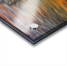 JBS 4142  Acrylic print