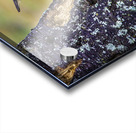 JBS 9742 1 Acrylic print