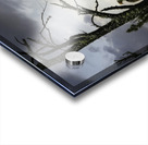 Eagle-Gogama Impression Acrylique