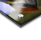 JBS 5301  Acrylic print