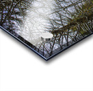 JBS 5217 Impression Acrylique