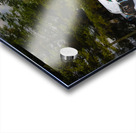 ZJS 9141  Acrylic print