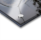 ZJS 8305  Acrylic print