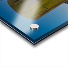 JBS 5368  Acrylic print