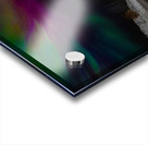 JBS 3609  Acrylic print