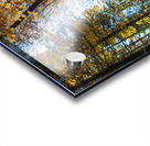 JBS 7125  Impression Acrylique