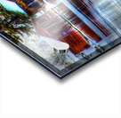 JBS 8335  Impression Acrylique