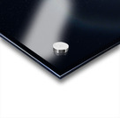 JBS 3166  Acrylic print