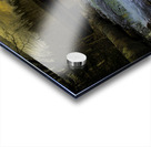 JBS 9699  Acrylic print