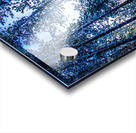 JBS 4409 Acrylic print