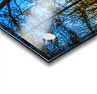 JBS 7909  Acrylic print