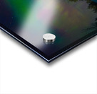 JBS 4795  Acrylic print