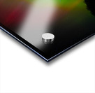 DSC 4379 Acrylic print